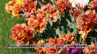 Botanical Garden, Craiova, Romania - Romanian subtitles