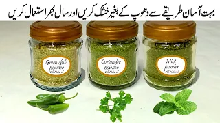 Dry green chili powder | Dry Coriander powder | Dry Mint powder