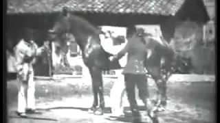 "Horse Trick Riders" (Lumière Brothers, France, 1895)