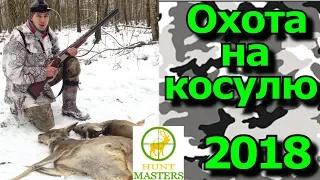 Загонная охота на косулю/ОХОТА НА КОСУЛЮ сезон 2018-2019/Загінне полювання на косулю.