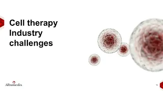 Increase Cell Performance with Recombinant Human Albumin