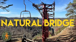 Natural Bridge & Chairlift Ride - Red River Gorge - Kentucky