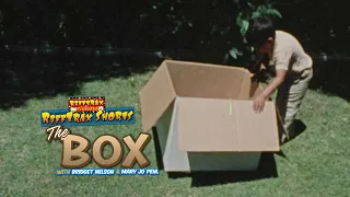 RiffTrax: The Box (Preview)