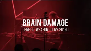 Brain Damage - Genetic Weapon (ft. Tena Stelin) [ LIVE ]