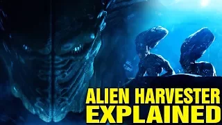 ALIEN: LOCUST HARVESTER EXPLAINED - WHAT ARE THE ALIENS FROM INDEPENDENCE DAY?