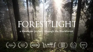 Forest Light - a timelapse journey through the Blackforest | 4K