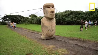 Scientists Make Easter Island Statue Walk | National Geographic