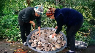 We Gathered Big Mushrooms in the Village - 1 Hour of the Best Recipes