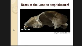 WILD IN THE CITY: BROWN BEARS IN ROMAN AND MEDIEVAL BRITAIN