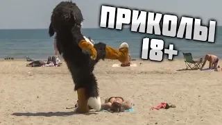 #ПРИКОЛЫ за Январь 2019 | BEST COUB 2019 ▶ 2