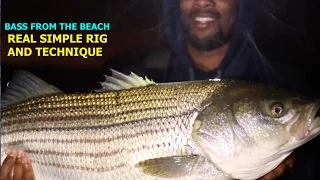 HOW TO CATCH STRIPED BASS OFF THE BEACH FOR DUMMIES (NO OFFENSE 2X)