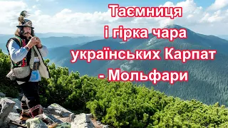 «ПОВЕЛИТЕЛі темних сил» ОТЧЕ ! Я прийшла до вас від МОЛЬФАРА !