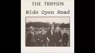 The Triffids - Wide open road