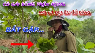 BẮT GẶP cô gái trưa nắng 1 mình ở trong rừng HÁI LÁ DẠI...ăn để sống /238