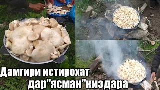 Корчини дар ясман истирохат да Киздара