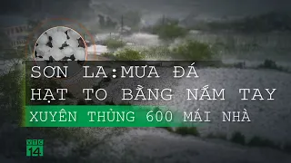 Sơn La: mưa đá hạt to bằng nắm tay, xuyên thủng 600 mái nhà| VTC14