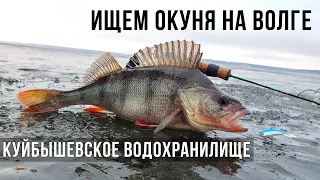 ИЩЕМ ОКУНЯ на ВОЛГЕ / Ульяновск, Куйбышевское водохранилище.