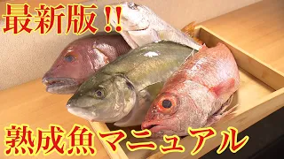 最新版！！熟成魚のやり方をマニュアル化しました🐟#釣り#寿司 #熟成