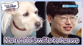 He told his wife to leave with the dog!! [Dogs are incredible : EP.180-2] | KBS WORLD TV 230801