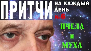 Пчела и муха - Притча о разумности и неразумности - Притчи на каждый день. Владимир Бутромеев