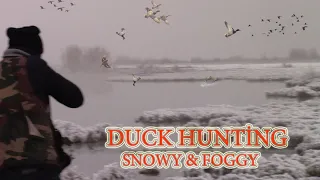 Duck hunting in snowy and foggy weather