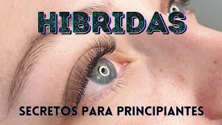 HÍBRIDAS TECNICA Y APLICACIÓN PARA PRINCIPIANTES. TIPS DE EXITO!