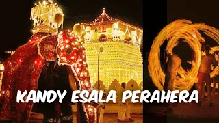 Kandy Esala Randholi Perahara (with eng subtitles) | Trips with me