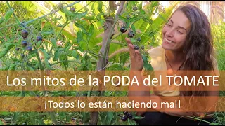 PODA de TOMATERA: mitos y verdades