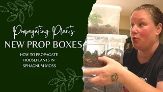 How to propagate houseplants in Sphagnum Moss | New prop boxes!!