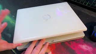 The cleanest iBook G3 dual USB I've ever seen