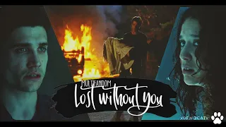 Multifandom [Lost Without You]