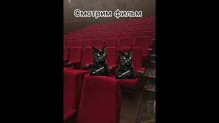 История котов 2 часть