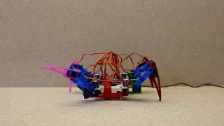 3d Printed Spider