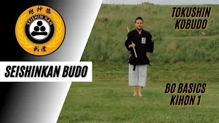 Seishinkan Budo School. BO Basics, Kihon 1, Tokushin Ryu Kobudo Okinawa