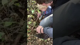 Planting hawthorn seeds with daddy #toddlers #outdoorlearning #toddleractivities