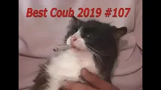 Best Coub 2019 #107