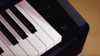 Yamaha Arius YDP-143 Digital Piano Demo