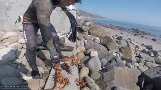 Lobster Diving / Spearfishing in Southern California 2020 - Wild West Watermen - S5 : E3