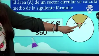 conectate con la estrella 6 grado 31 de agosto 2021