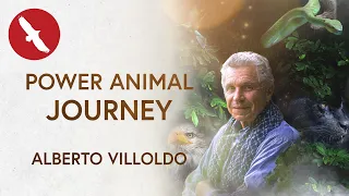 Power Animal Journey