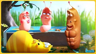 LARVA VÔ DỤNG - ẤU TRÙNG TINH NGHỊCH - PHIM HOẠT HÌNH HÀN QUỐC NHỮNG CHÚ SÂU VUI NHỘN