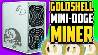 Goldshell Mini-Doge Miner | Full Guide