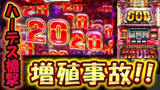 【6.5号機ハーデス】なにこの足！？犬じゃないプレミアでハーデス確定の激アツ展開！【スロット】【アナザーゴッドハーデス-解き放たれし槍撃ver.】【養分稼働 242話】