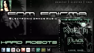 EDM Enigma - Hard Robots