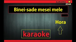 Bine-i sade mesei mele #karaoke hora