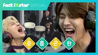 오스트랄로피테쿠스가 별명인 아이돌이 있다?!ㅣ골든차일드(Golden Child) 고요속의 외침 - 팩트iN스타