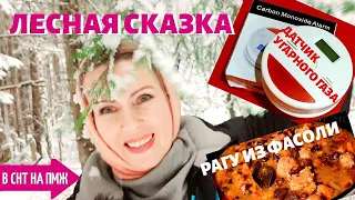 СТАРАЯ ДАЧА | КАК не УГОРЕТЬ | РЖАВАЯ ПОСУДА. Что делать? | РАГУ ИЗ ФАСОЛИ №97