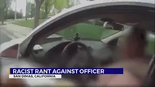 Woman goes on racist rant during LA traffic stop
