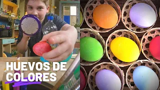 Huevos de colores: Experimentos y manualidades ¡Yo lo puedo hacer!