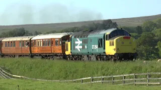 37264 Moorgates June 2016